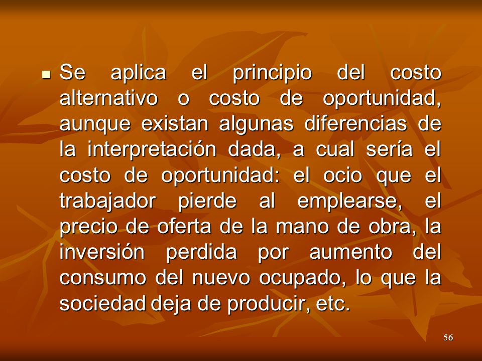 Se aplica el principio del costo alternativo o costo de oportunidad, aunque existan algunas diferencias de la interpretación dada, a cual sería el costo de oportunidad: el ocio que el trabajador pierde al emplearse, el precio de oferta de la mano de obra, la inversión perdida por aumento del consumo del nuevo ocupado, lo que la sociedad deja de producir, etc.