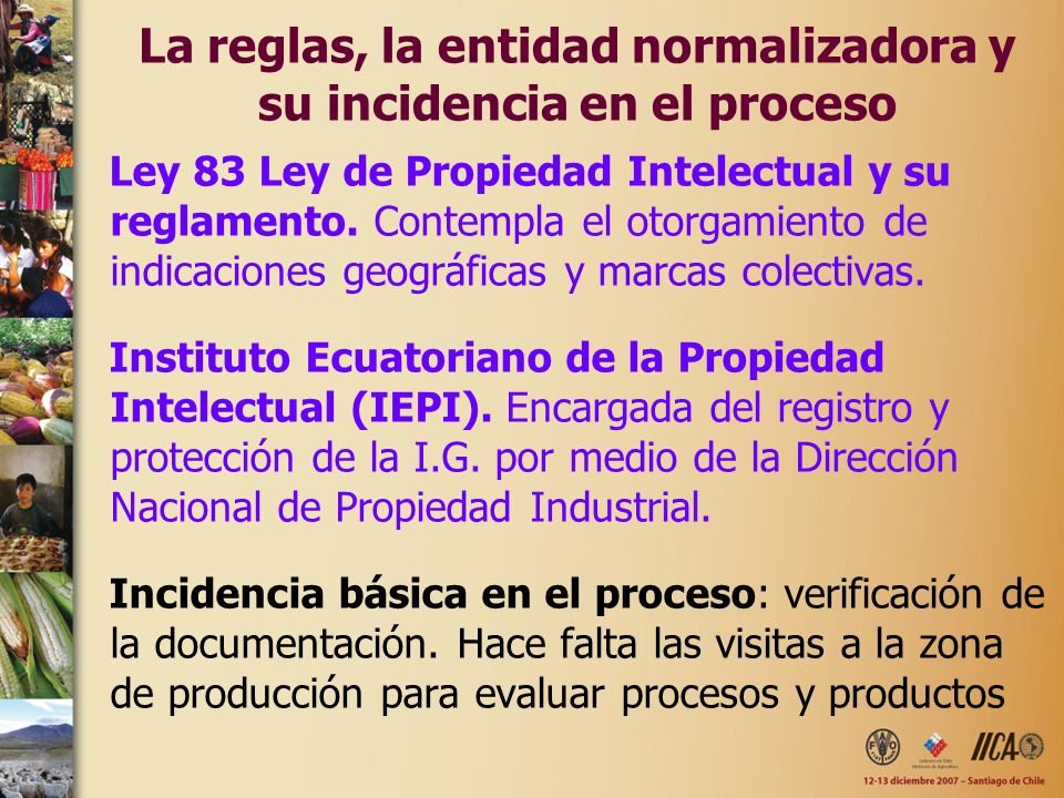 La reglas, la entidad normalizadora y su incidencia en el proceso
