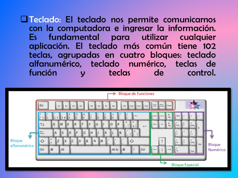 Teclado: El teclado nos permite comunicarnos con la computadora e ingresar la información.