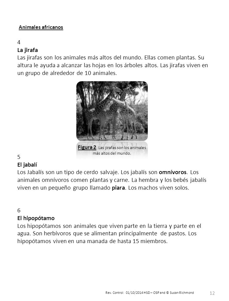 Figura 2 Las jirafas son los animales más altos del mundo.