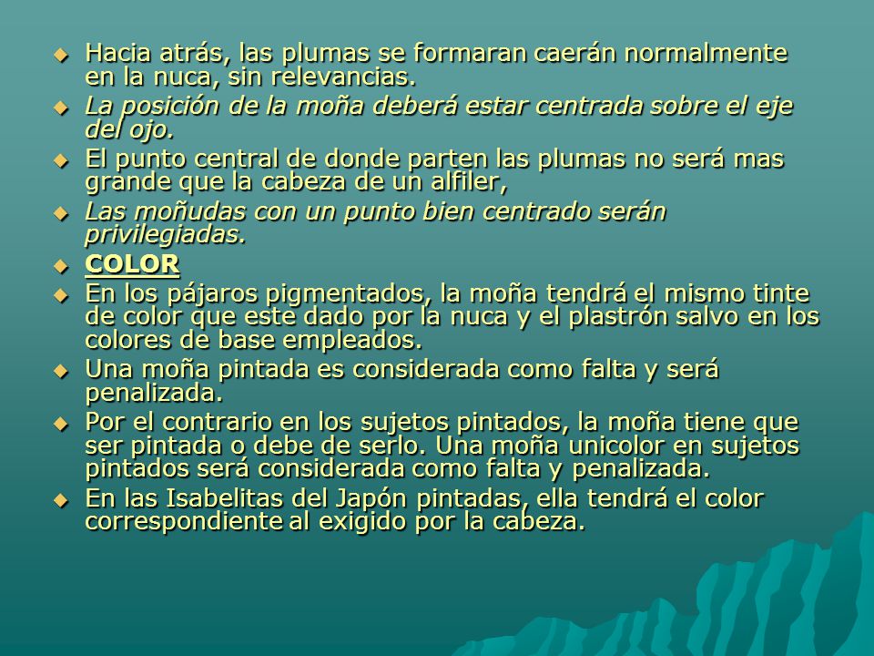 Hacia atrás, las plumas se formaran caerán normalmente en la nuca, sin relevancias.