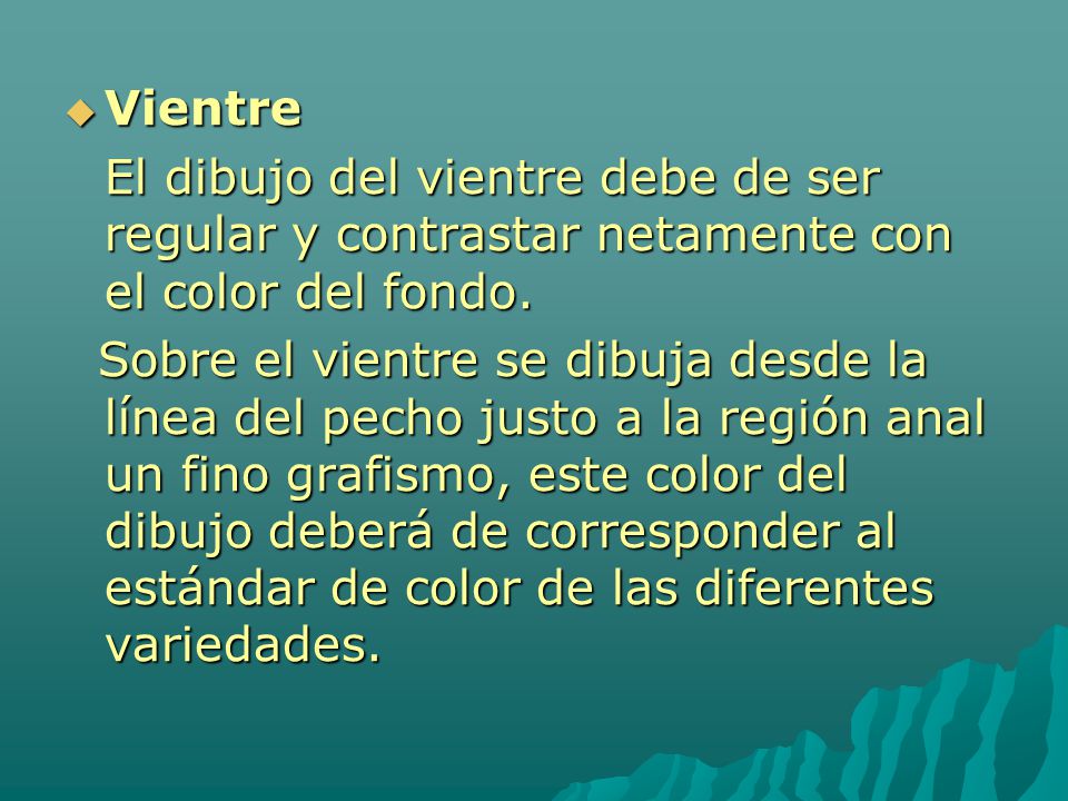 Vientre El dibujo del vientre debe de ser regular y contrastar netamente con el color del fondo.