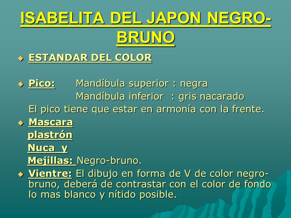 ISABELITA DEL JAPON NEGRO-BRUNO