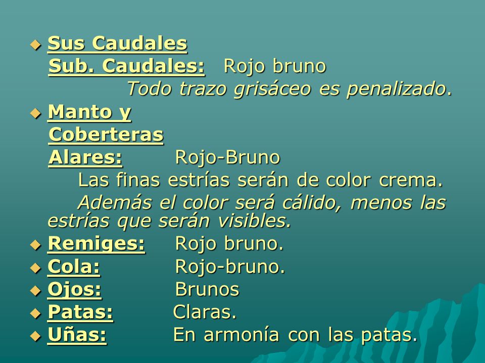 Sus Caudales Sub. Caudales: Rojo bruno. Todo trazo grisáceo es penalizado. Manto y. Coberteras. Alares: Rojo-Bruno.