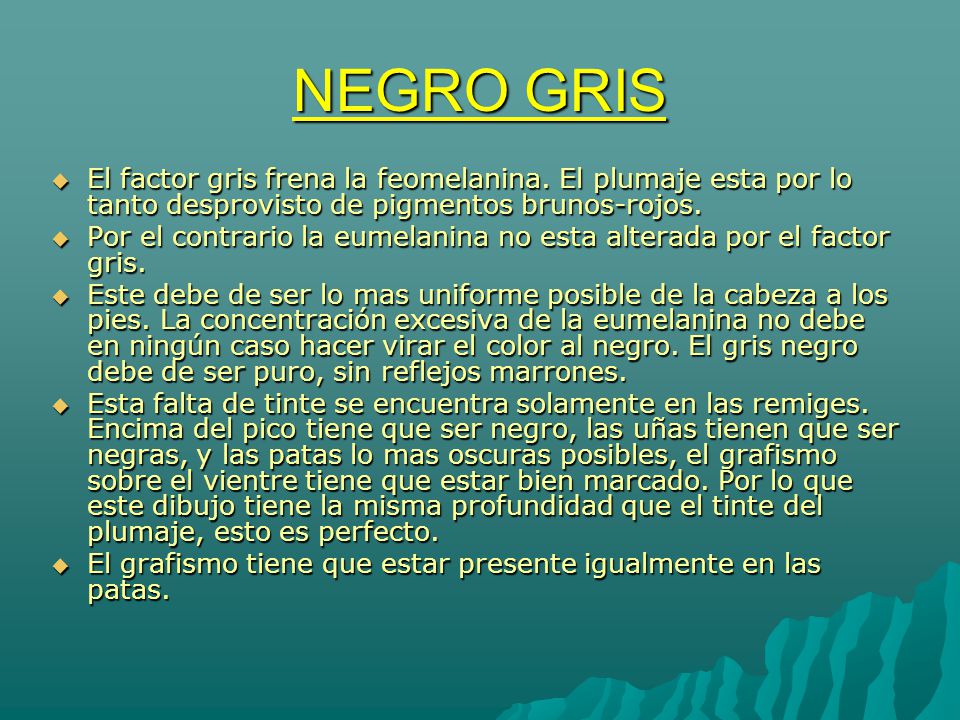 NEGRO GRIS El factor gris frena la feomelanina. El plumaje esta por lo tanto desprovisto de pigmentos brunos-rojos.