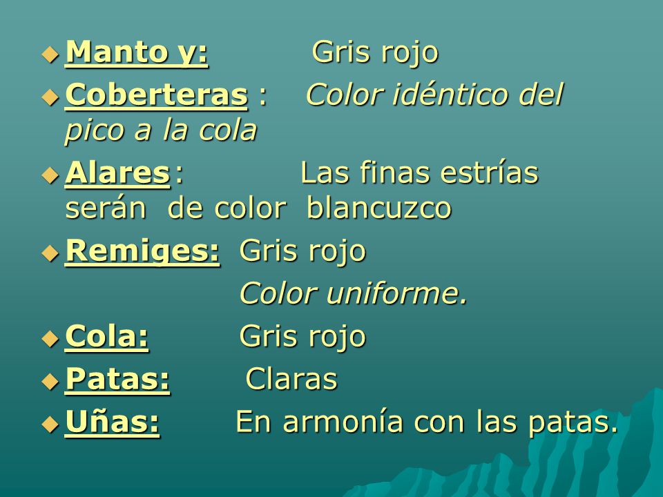 Manto y: Gris rojo Coberteras : Color idéntico del pico a la cola. Alares : Las finas estrías serán de color blancuzco.