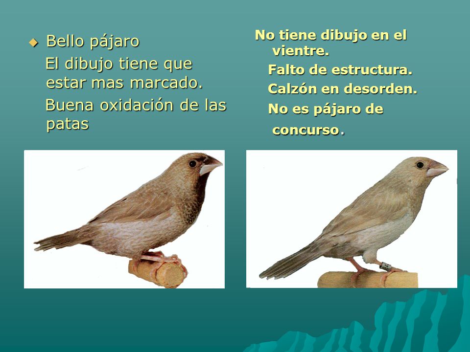 El dibujo tiene que estar mas marcado. Buena oxidación de las patas
