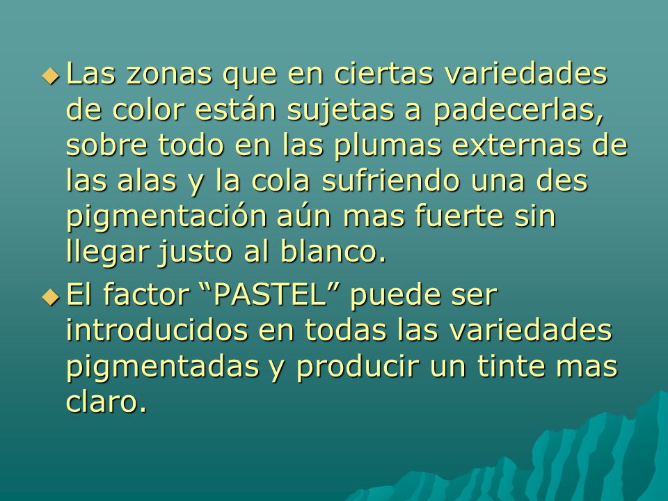 Las zonas que en ciertas variedades de color están sujetas a padecerlas, sobre todo en las plumas externas de las alas y la cola sufriendo una des pigmentación aún mas fuerte sin llegar justo al blanco.