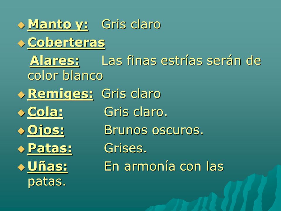 Manto y: Gris claro Coberteras. Alares: Las finas estrías serán de color blanco. Remiges: Gris claro.