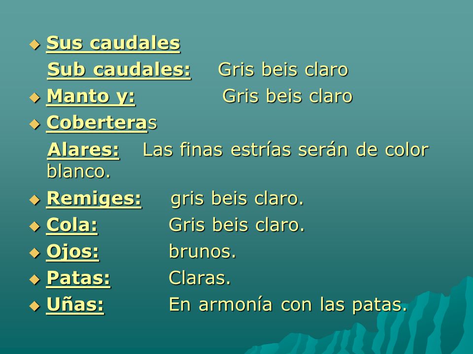 Sus caudales Sub caudales: Gris beis claro. Manto y: Gris beis claro. Coberteras. Alares: Las finas estrías serán de color blanco.