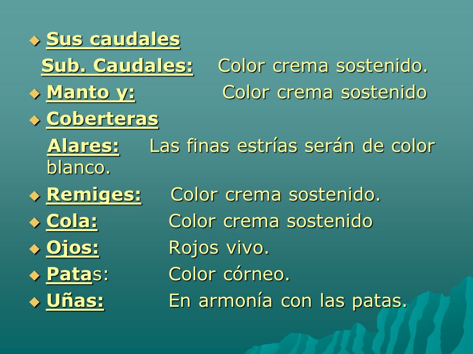 Sus caudales Sub. Caudales: Color crema sostenido. Manto y: Color crema sostenido. Coberteras.