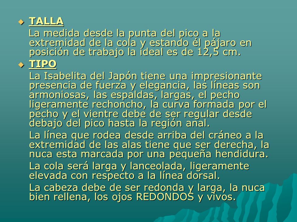 TALLA La medida desde la punta del pico a la extremidad de la cola y estando él pájaro en posición de trabajo la ideal es de 12,5 cm.