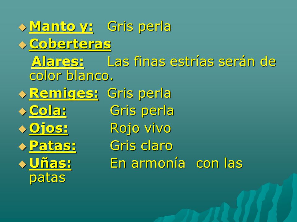 Manto y: Gris perla Coberteras. Alares: Las finas estrías serán de color blanco. Remiges: Gris perla.