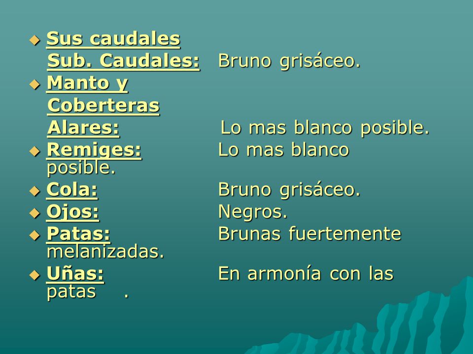 Sus caudales Sub. Caudales: Bruno grisáceo. Manto y. Coberteras. Alares: Lo mas blanco posible.