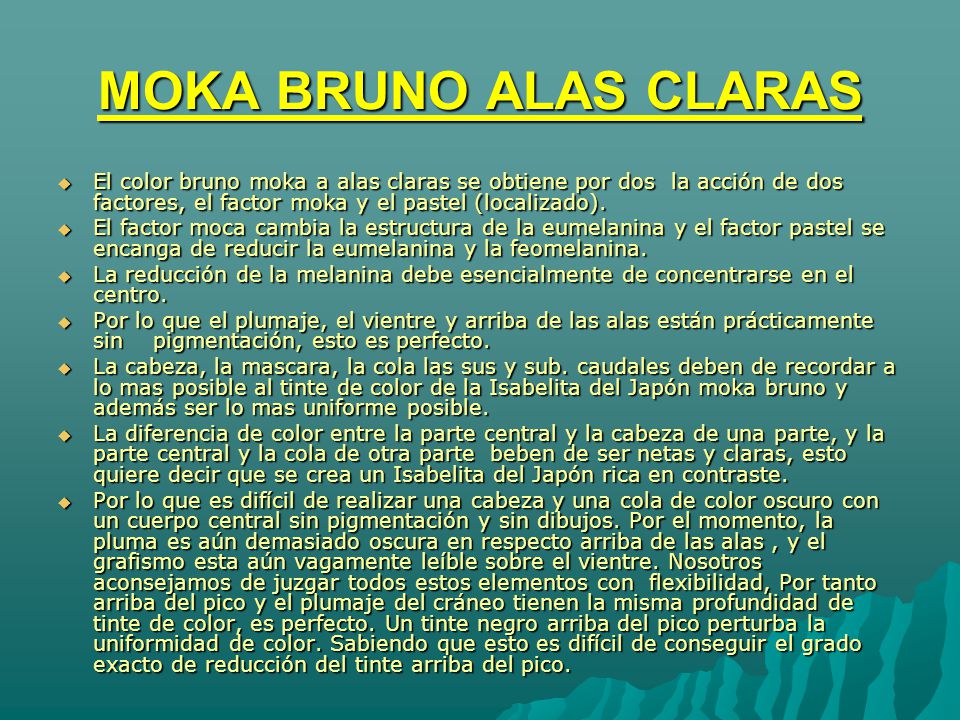MOKA BRUNO ALAS CLARAS El color bruno moka a alas claras se obtiene por dos la acción de dos factores, el factor moka y el pastel (localizado).