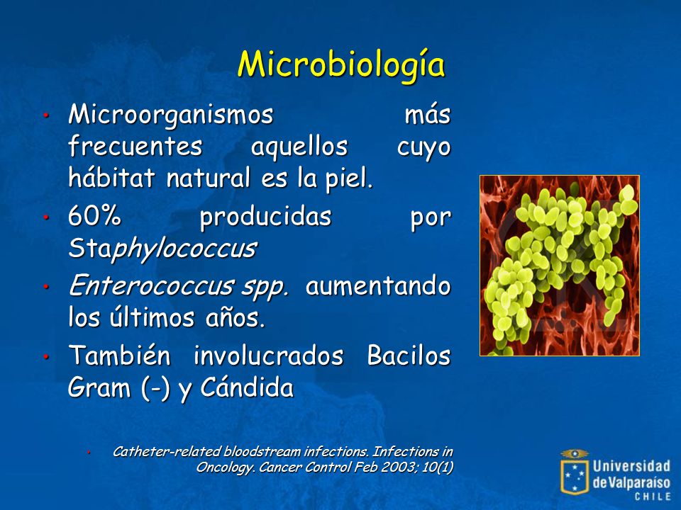 Microbiología Microorganismos más frecuentes aquellos cuyo hábitat natural es la piel. 60% producidas por Staphylococcus.