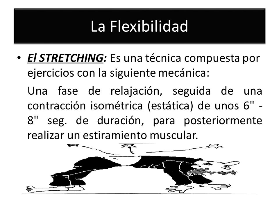 La Flexibilidad El STRETCHING: Es una técnica compuesta por ejercicios con la siguiente mecánica: