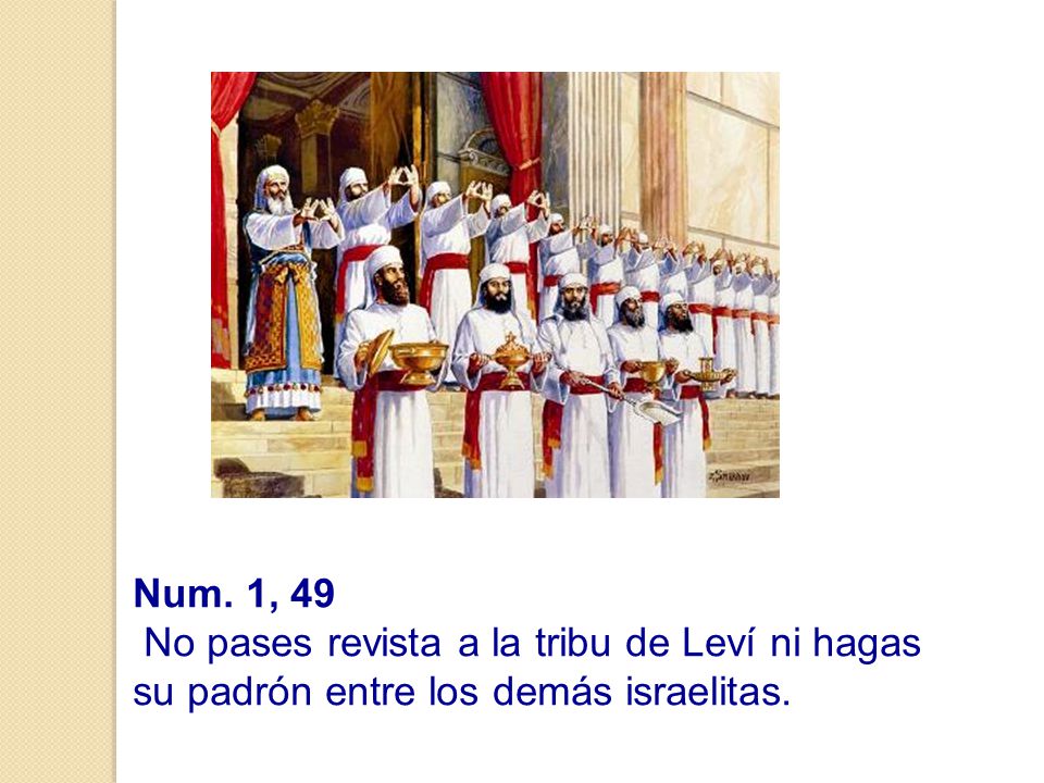 Num. 1, 49 No pases revista a la tribu de Leví ni hagas su padrón entre los demás israelitas.