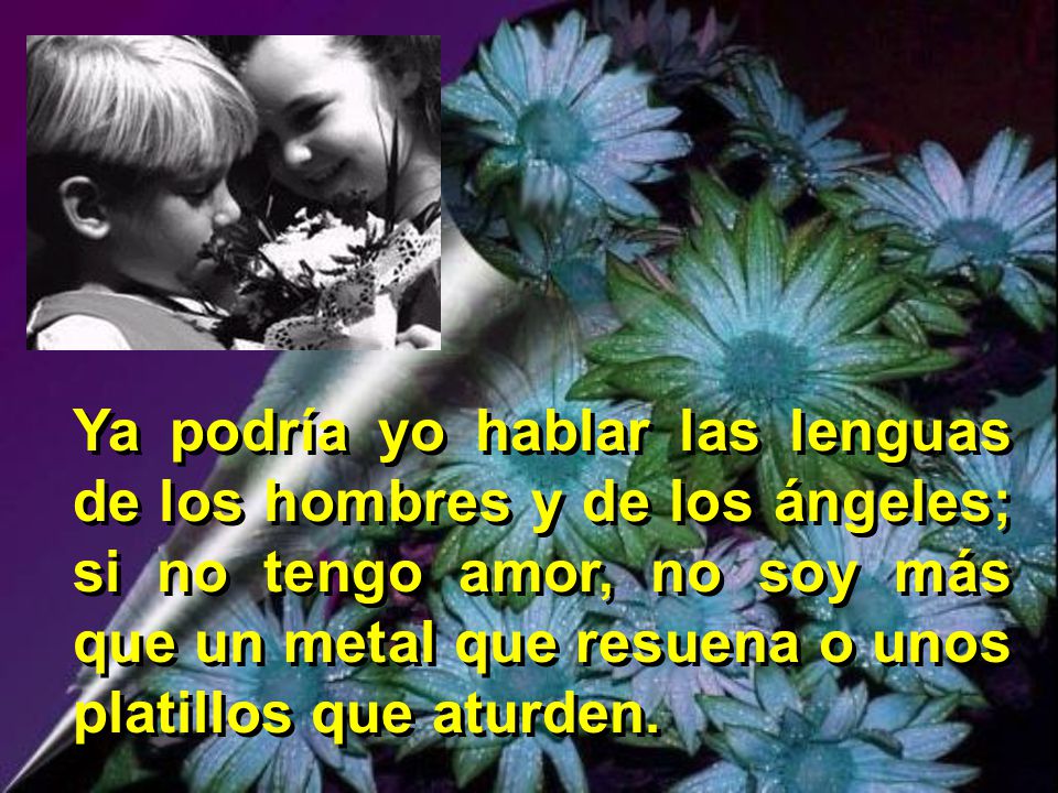 Ya podría yo hablar las lenguas de los hombres y de los ángeles; si no tengo amor, no soy más que un metal que resuena o unos platillos que aturden.