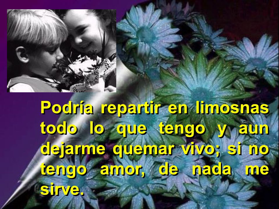 Podría repartir en limosnas todo lo que tengo y aun dejarme quemar vivo; si no tengo amor, de nada me sirve.