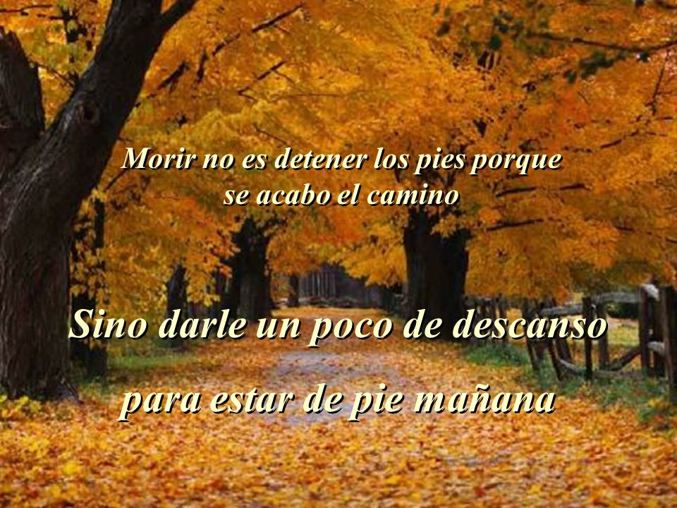 Sino darle un poco de descanso para estar de pie mañana