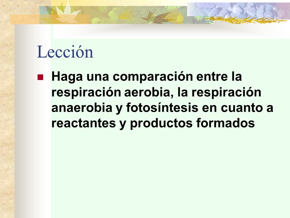 Lección Haga una comparación entre la respiración aerobia, la respiración anaerobia y fotosíntesis en cuanto a reactantes y productos formados.