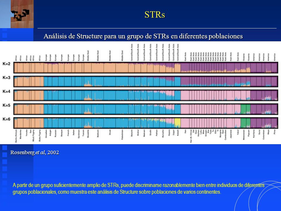 STRs Análisis de Structure para un grupo de STRs en diferentes poblaciones. Rosenberg et al,