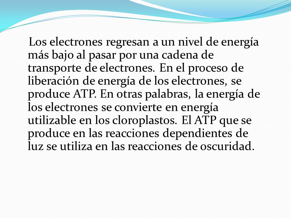 Los electrones regresan a un nivel de energía más bajo al pasar por una cadena de transporte de electrones.