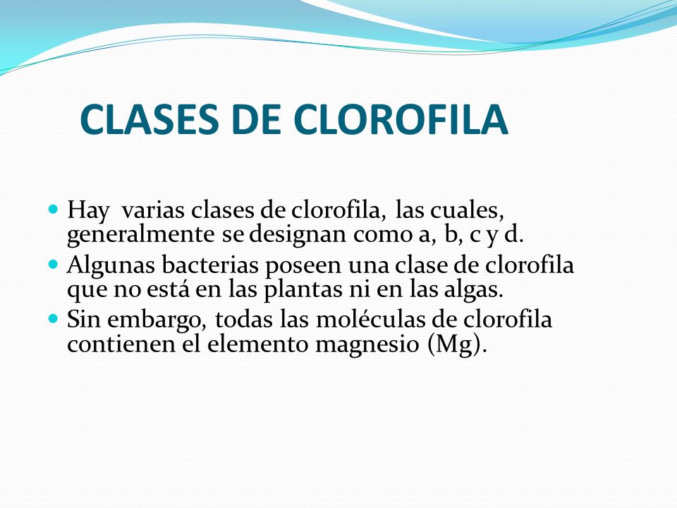 CLASES DE CLOROFILA Hay varias clases de clorofila, las cuales, generalmente se designan como a, b, c y d.
