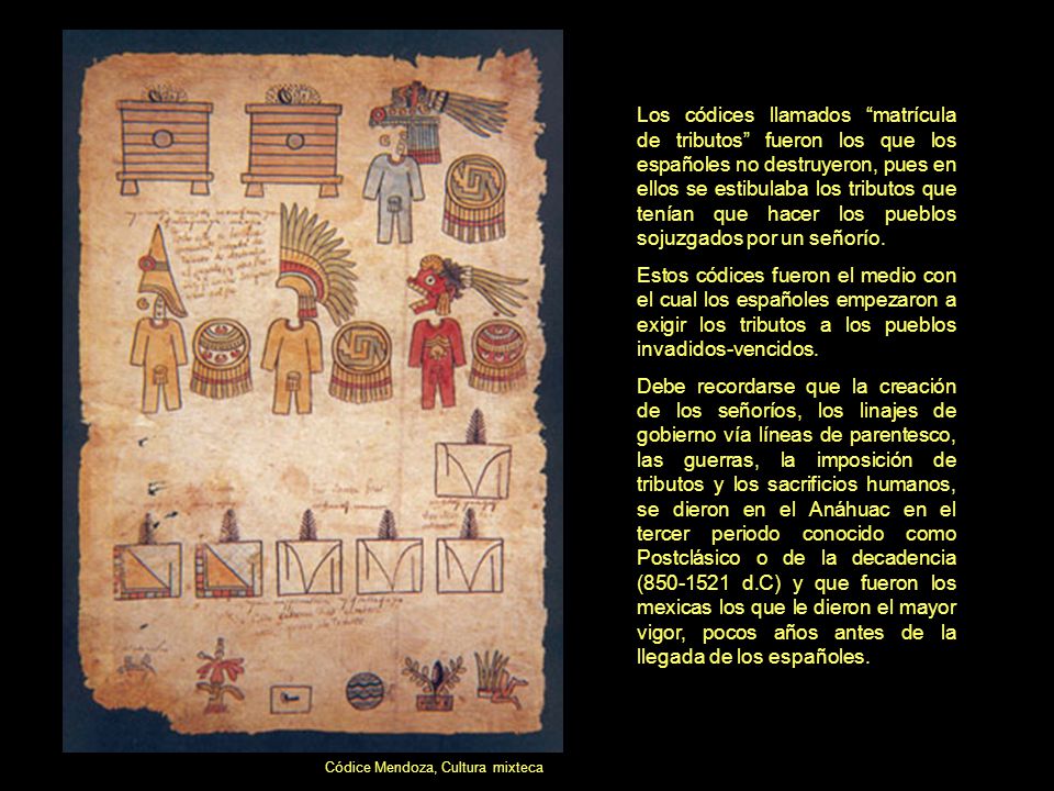 Los códices llamados matrícula de tributos fueron los que los españoles no destruyeron, pues en ellos se estibulaba los tributos que tenían que hacer los pueblos sojuzgados por un señorío.