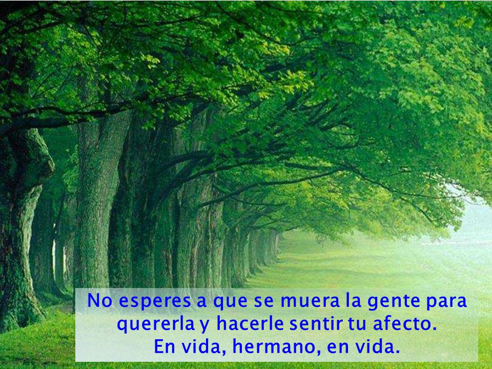 No esperes a que se muera la gente para quererla y hacerle sentir tu afecto.