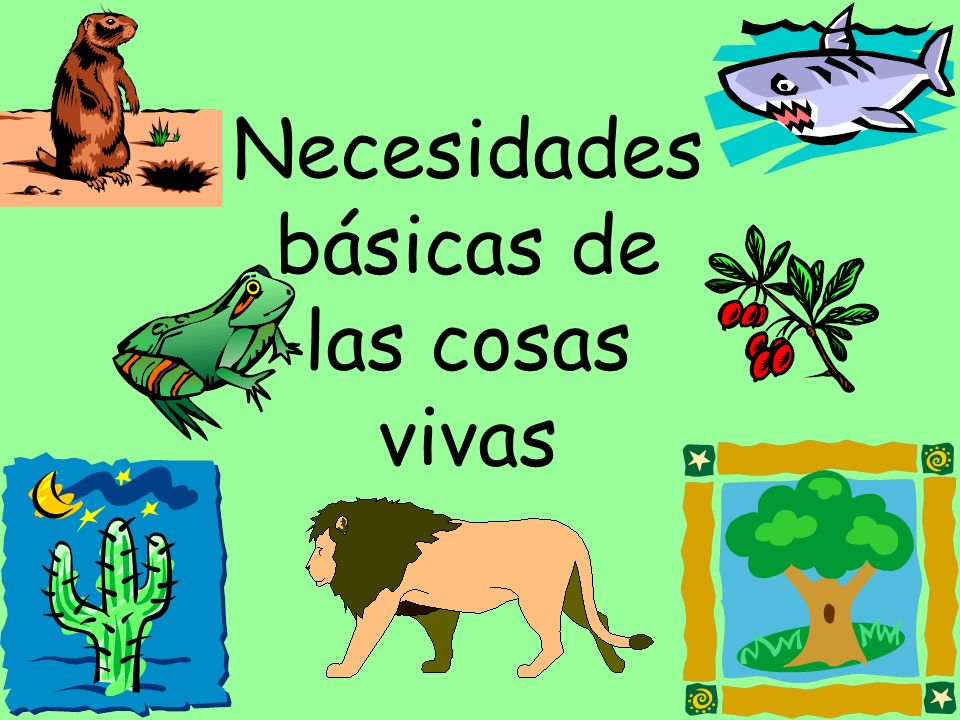 Necesidades básicas de las cosas vivas