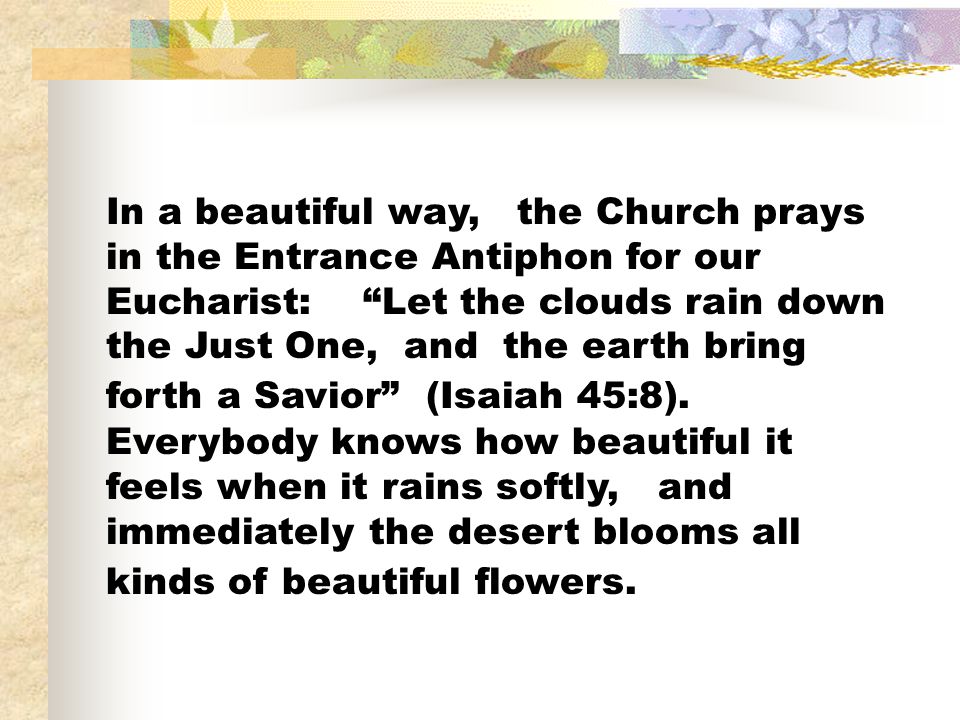 In a beautiful way, the Church prays in the Entrance Antiphon for our Eucharist: Let the clouds rain down the Just One, and the earth bring forth a Savior (Isaiah 45:8).