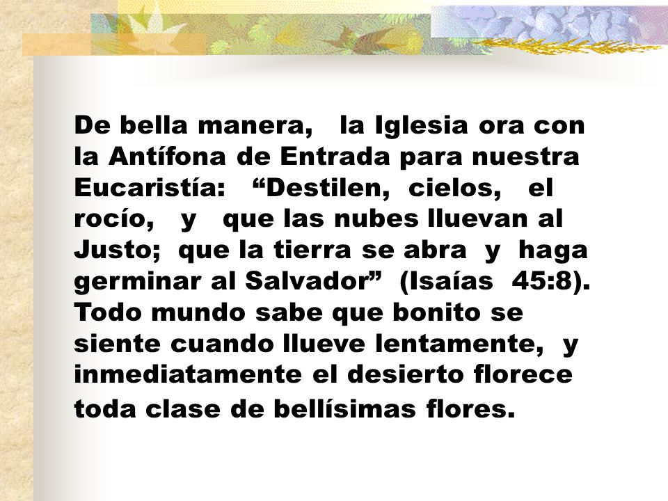 De bella manera, la Iglesia ora con la Antífona de Entrada para nuestra Eucaristía: Destilen, cielos, el rocío, y que las nubes lluevan al Justo; que la tierra se abra y haga germinar al Salvador (Isaías 45:8).