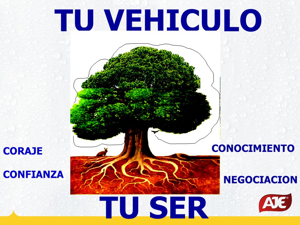 TU VEHICULO CONOCIMIENTO CORAJE CONFIANZA NEGOCIACION TU SER