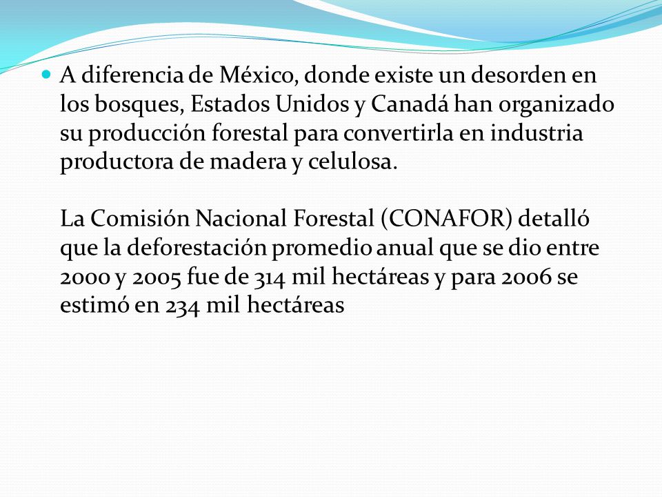 A diferencia de México, donde existe un desorden en los bosques, Estados Unidos y Canadá han organizado su producción forestal para convertirla en industria productora de madera y celulosa.