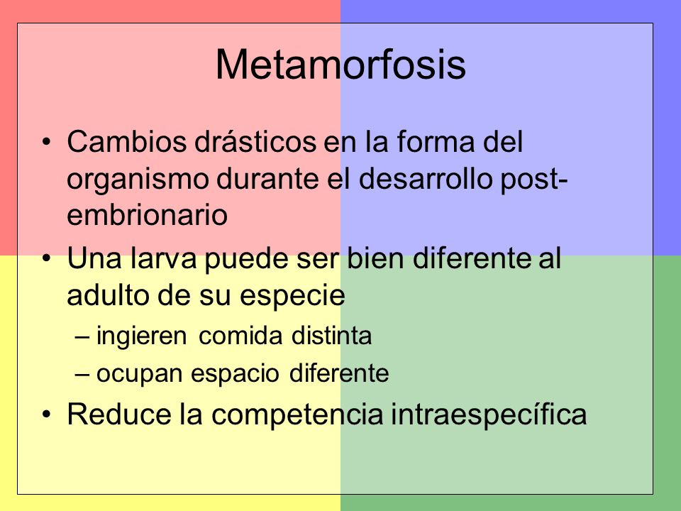 Metamorfosis Cambios drásticos en la forma del organismo durante el desarrollo post-embrionario.