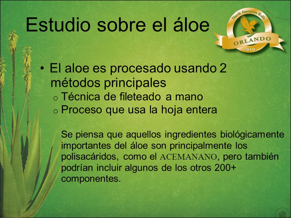 Estudio sobre el áloe El aloe es procesado usando 2