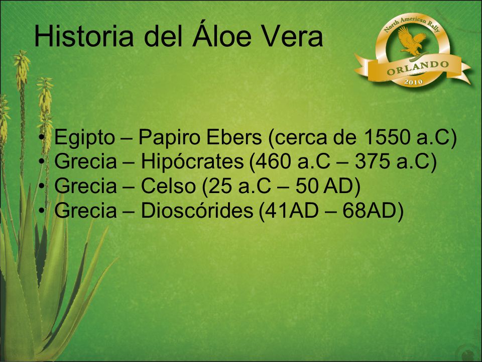 Historia del Áloe Vera Egipto – Papiro Ebers (cerca de 1550 a.C)