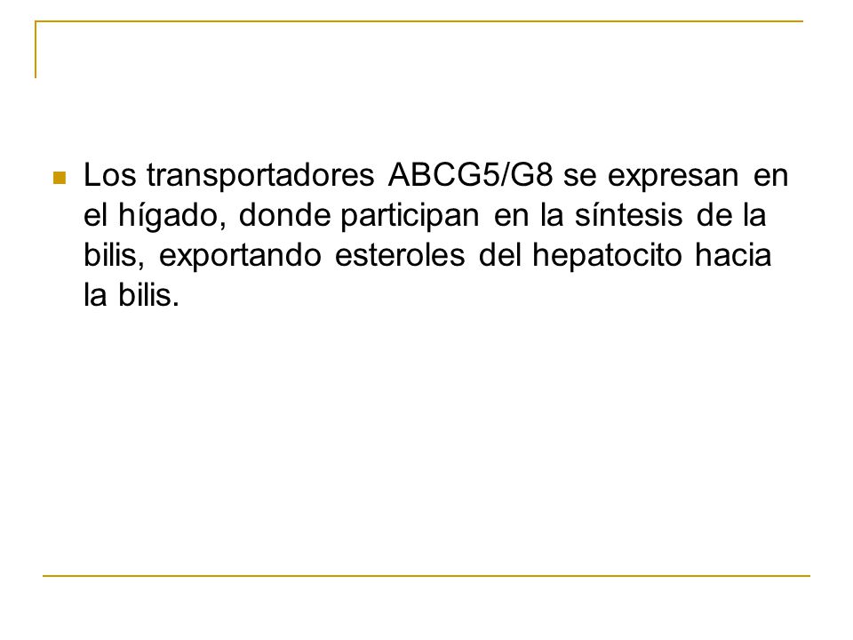 Los transportadores ABCG5/G8 se expresan en el hígado, donde participan en la síntesis de la bilis, exportando esteroles del hepatocito hacia la bilis.