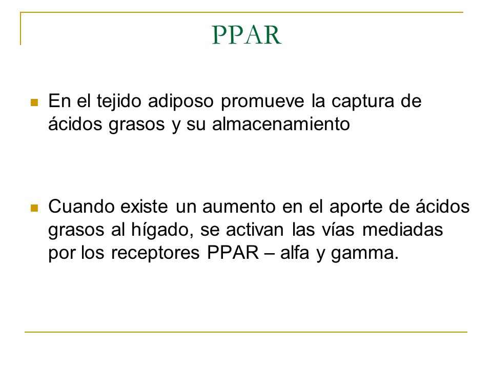 PPAR En el tejido adiposo promueve la captura de ácidos grasos y su almacenamiento.