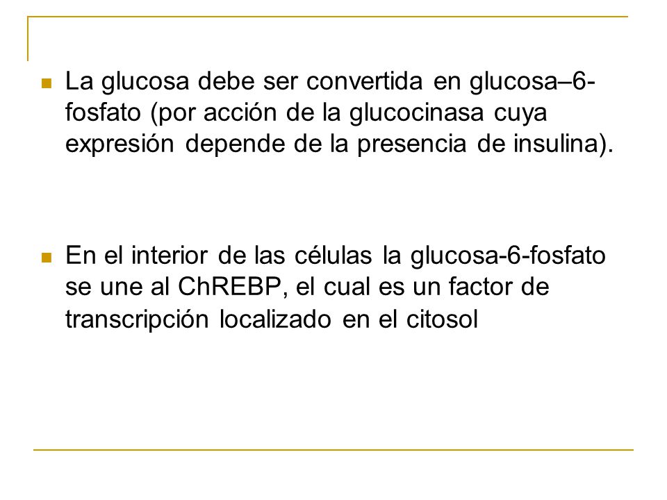 La glucosa debe ser convertida en glucosa–6- fosfato (por acción de la glucocinasa cuya expresión depende de la presencia de insulina).