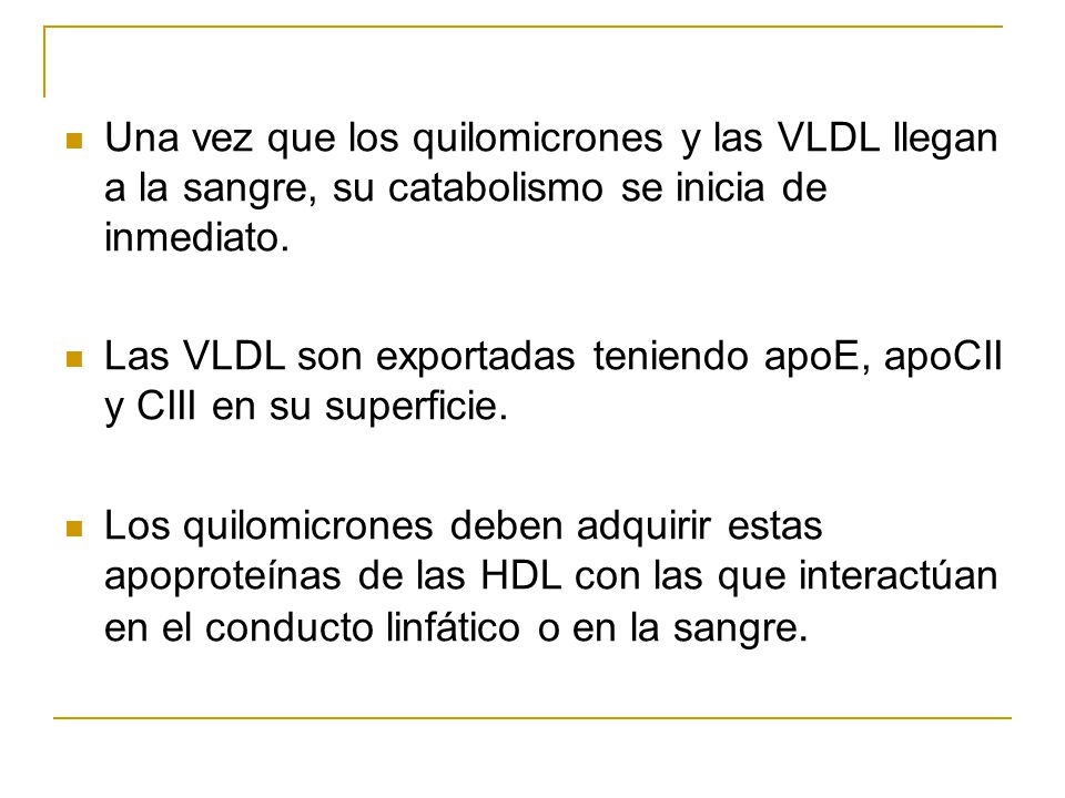 Una vez que los quilomicrones y las VLDL llegan a la sangre, su catabolismo se inicia de inmediato.