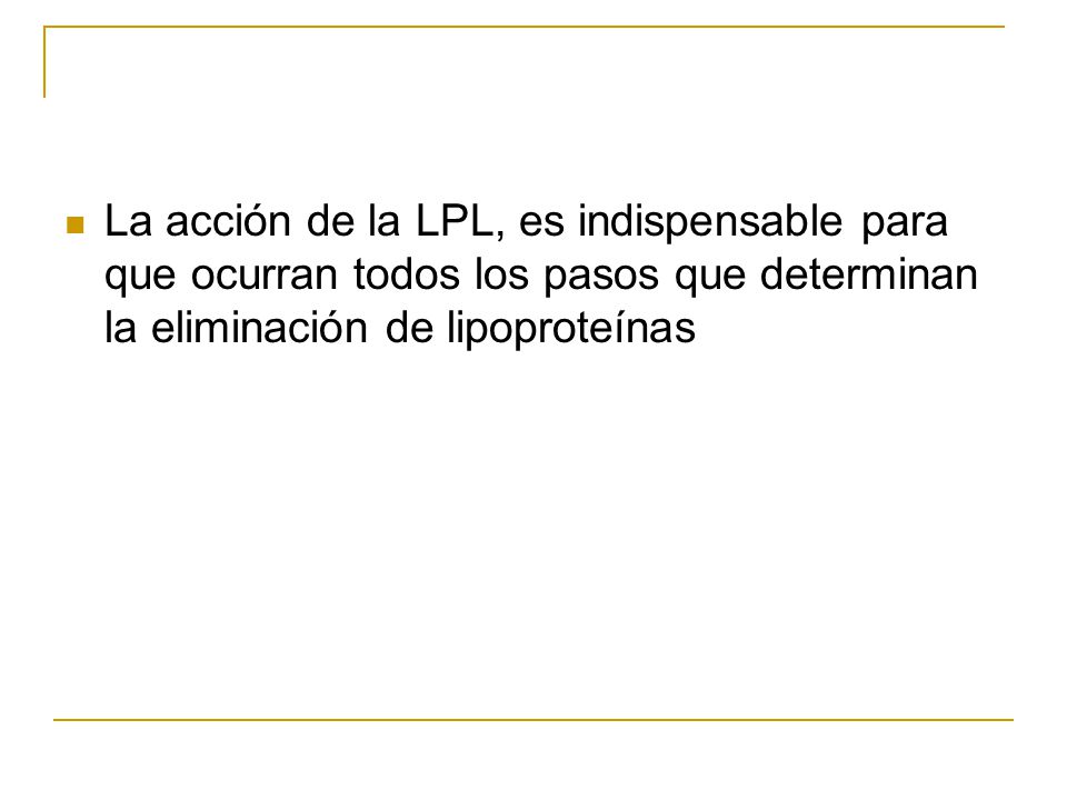 La acción de la LPL, es indispensable para que ocurran todos los pasos que determinan la eliminación de lipoproteínas