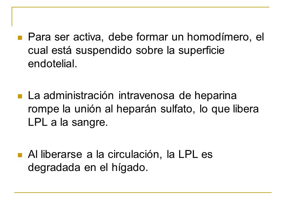 Para ser activa, debe formar un homodímero, el cual está suspendido sobre la superficie endotelial.