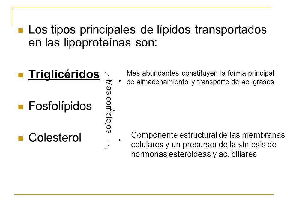 Los tipos principales de lípidos transportados en las lipoproteínas son: