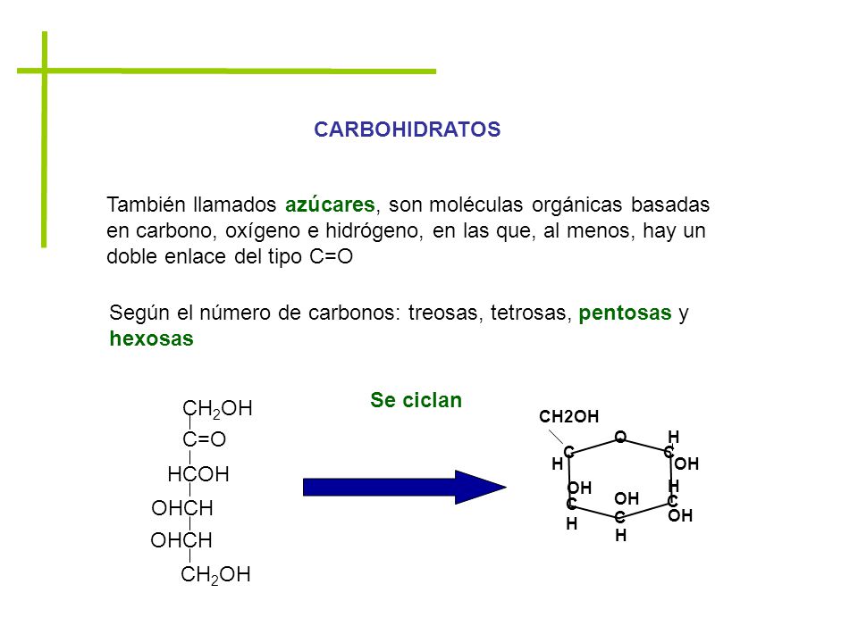 Según el número de carbonos: treosas, tetrosas, pentosas y hexosas