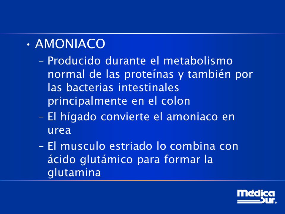AMONIACO Producido durante el metabolismo normal de las proteínas y también por las bacterias intestinales principalmente en el colon.