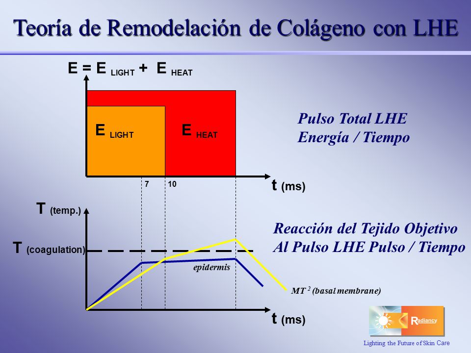 Teoría de Remodelación de Colágeno con LHE