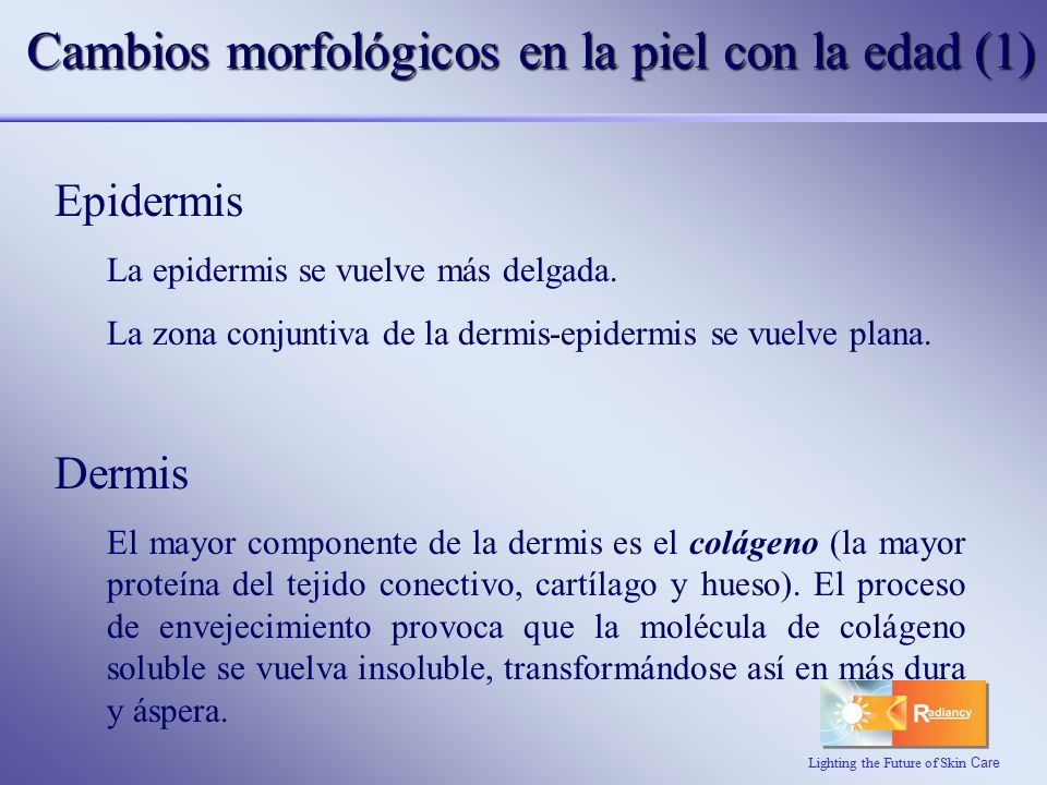 Cambios morfológicos en la piel con la edad (1)